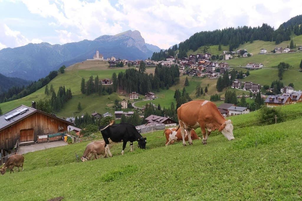 App. Monte Pore - Agriturismo La Majon Colle Santa Lucia Eksteriør billede